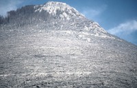 Channelized blast zone and searing or standing dead zone. (USGS).