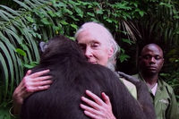 Dr. Jane Goodall.