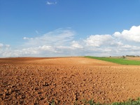 Kale bodems in Spanje (provincia Cuenca) (K.Bonne)