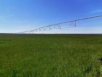 Metershoog irrigatiesysteem in boomloos landschap, boven monocultuur, sproeiend in volle zon en wind, veel water gaat verloren. (Castilla-y-León, K.Bonne)