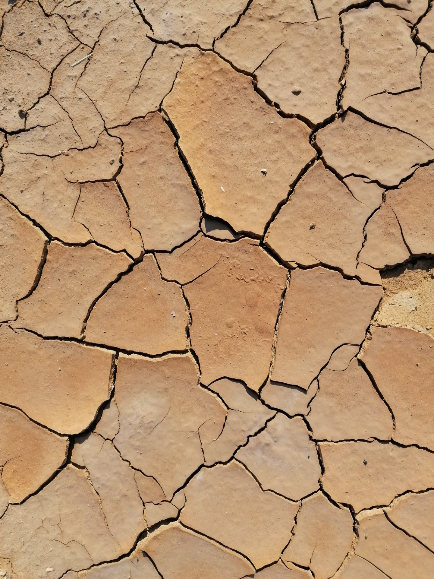 Catalonia's unique soils: impressions of the WRB excursion of 2023.