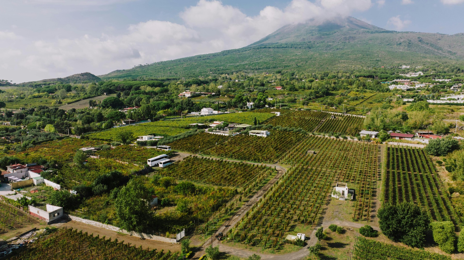 Lagere hellingen van de Vesuvius met akkers.