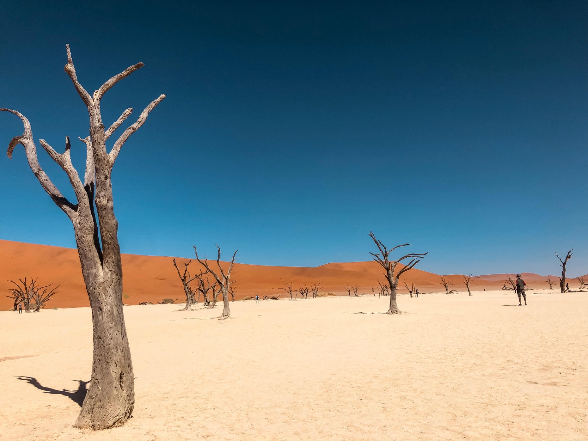 Sossusvlei.