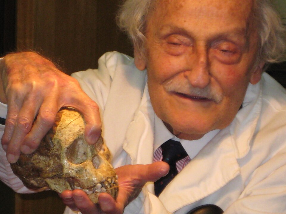 Phillip Tobias en het Taung-kind (Australopithecus africanus).