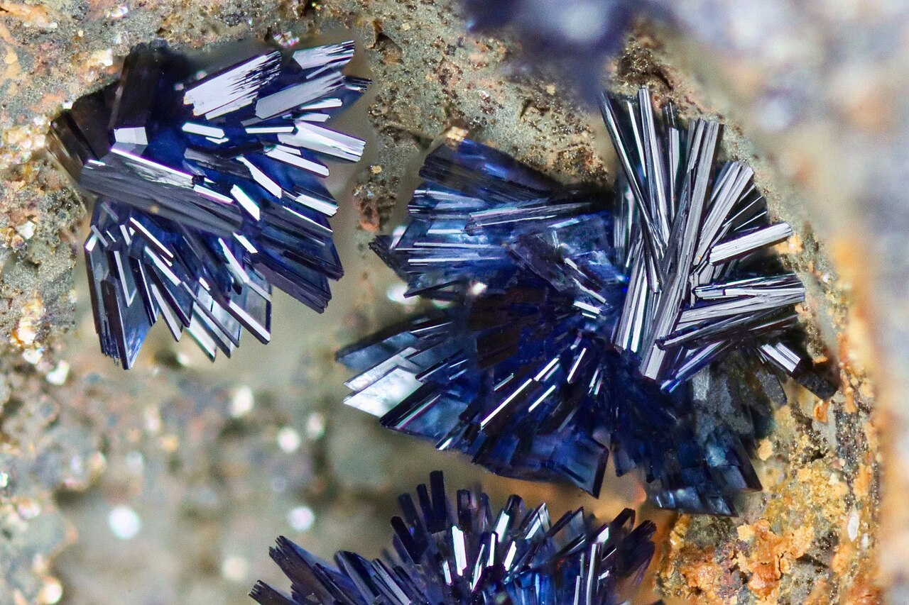 Vivianiet (Henk Smeets / Wikipedia)