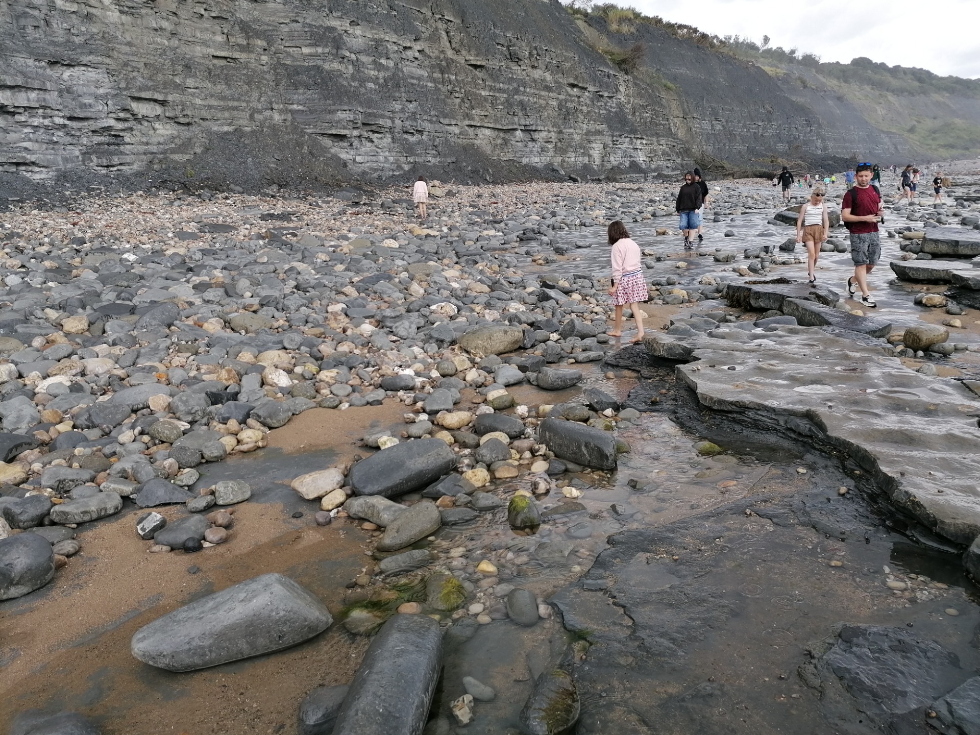 Ammonite Pavement. (K.B.)