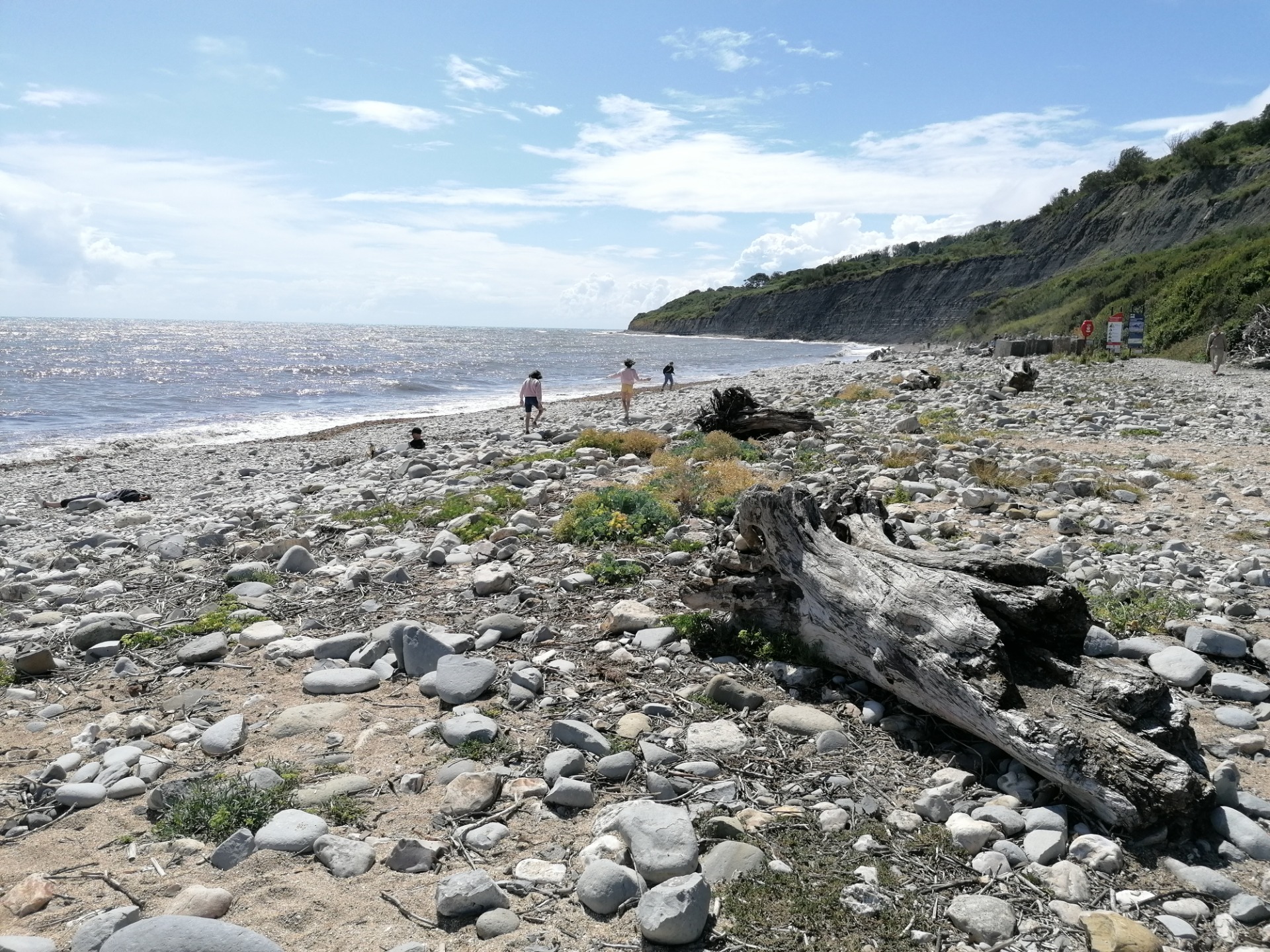 On our way to the Ammonite Pavement, which lies below the dark grey cliffs.
