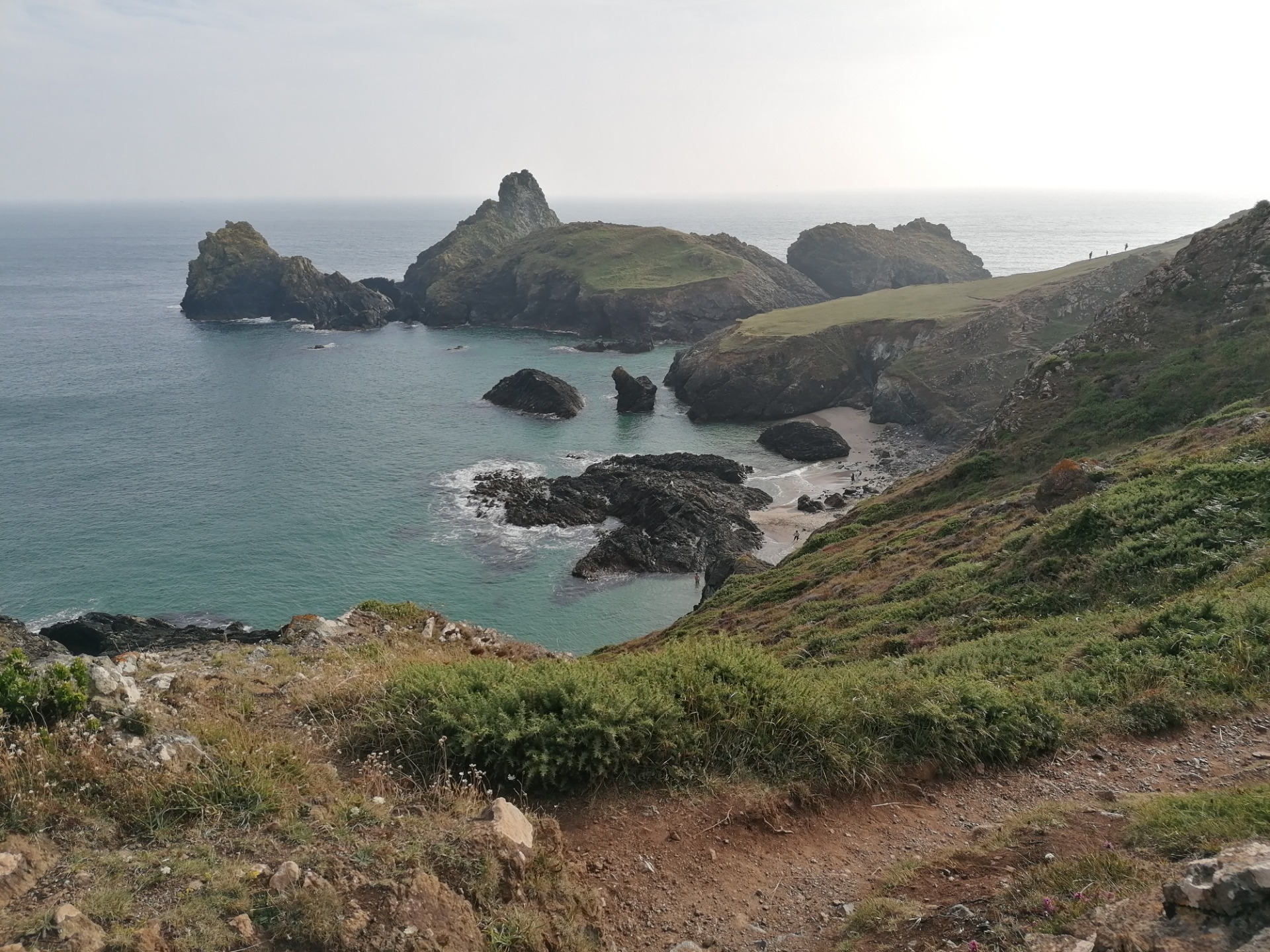 Kynance Cove, Cornwall (K.B.)