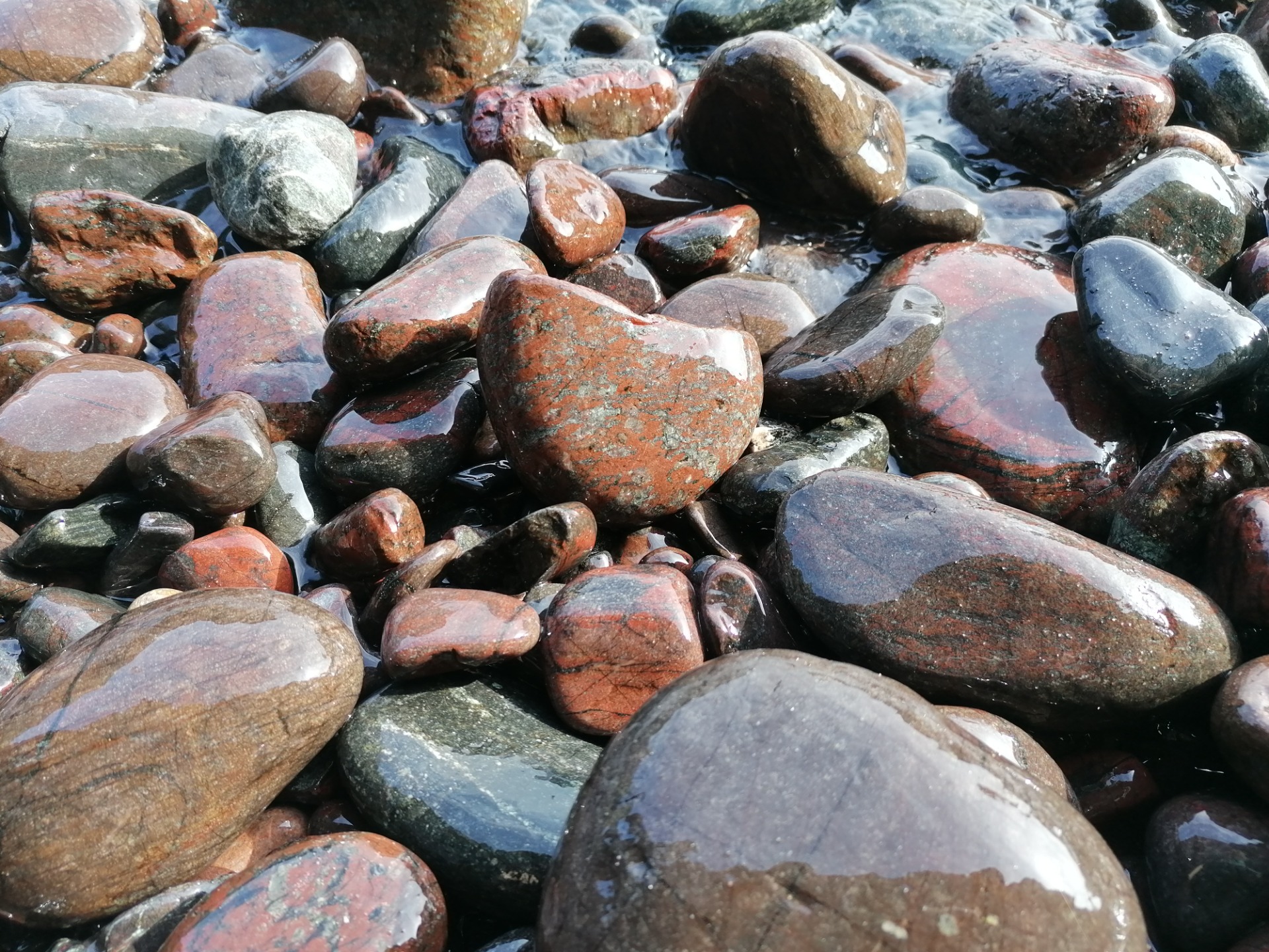 Beautiful serpentinite at Kynance Cove. (K.B.)