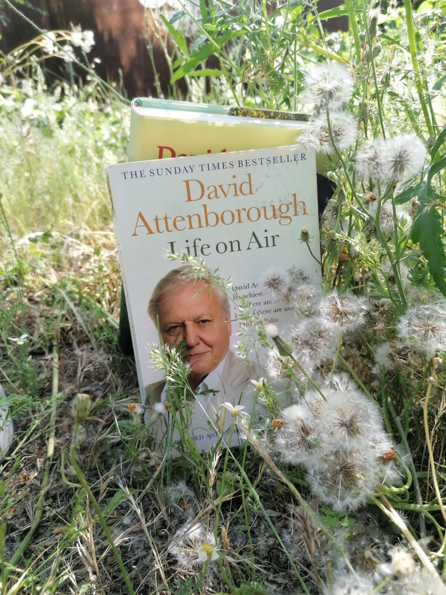 Life on Air, a pleasure to read.
