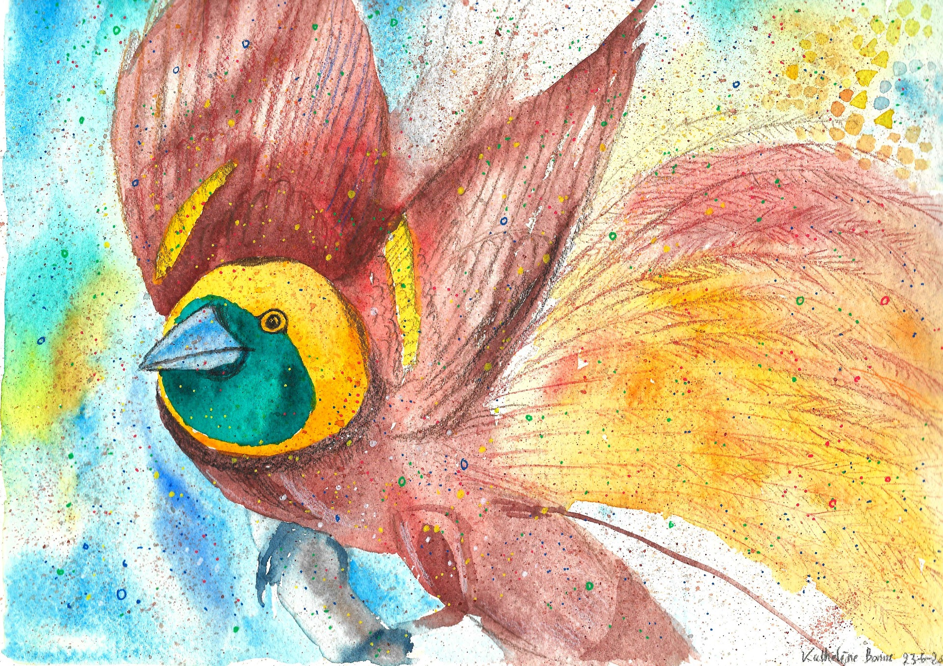 Bird of paradise, by K.B.